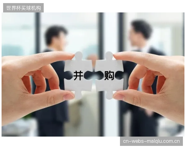 在近期一起亿元级并购中，该测试系统被用于评估目标岩馆的固定资产安全与残值，成为交易关键数据点